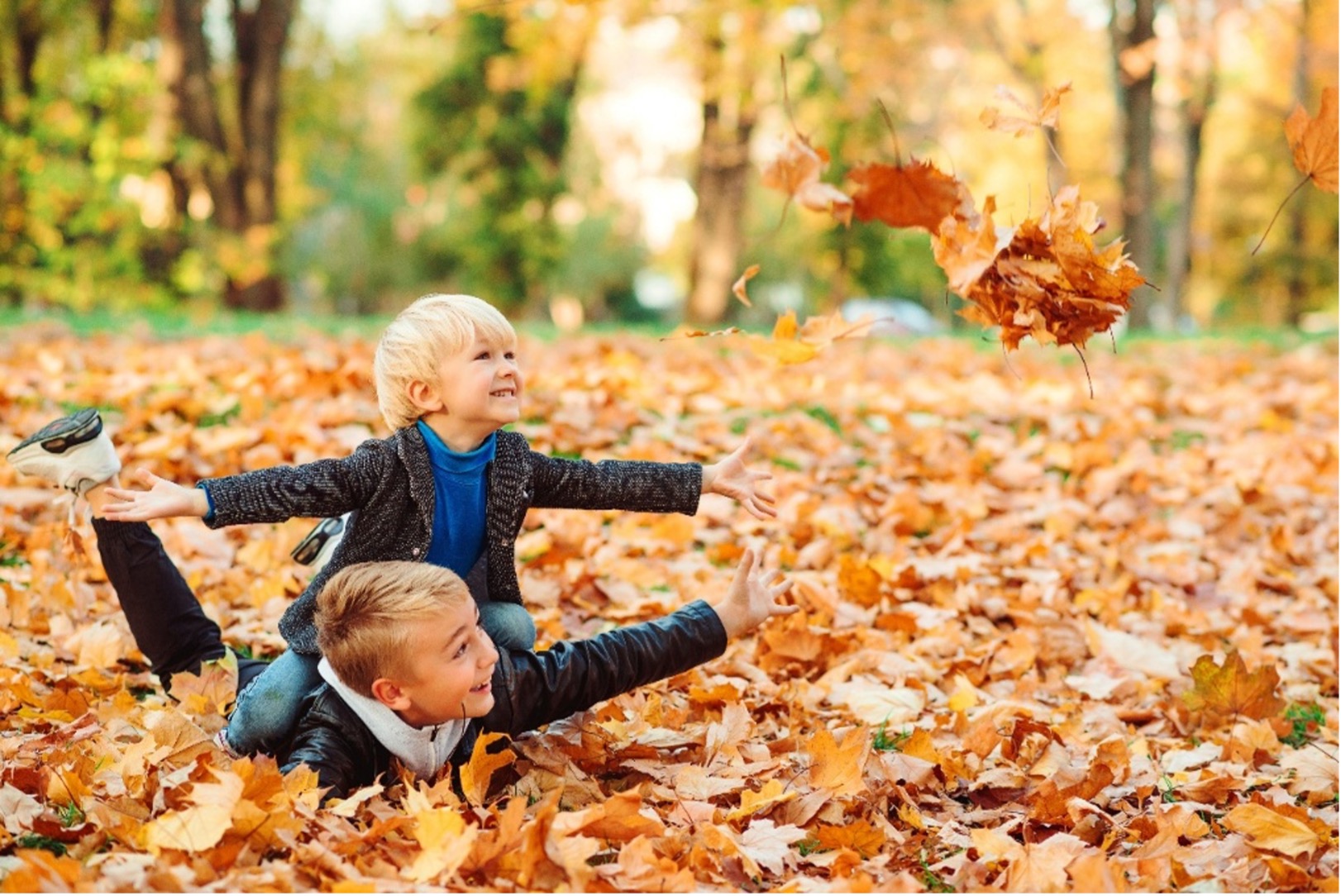 location de camping‑car pour les familles