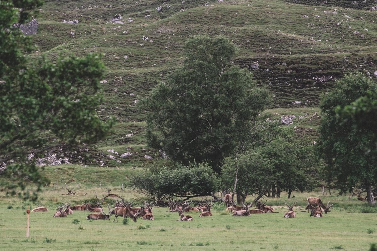 strathfarrar1