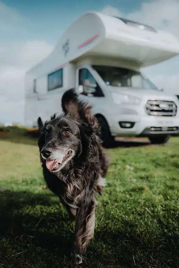 Dog Friendly Motorhome Hire
